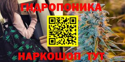 СК Анапа