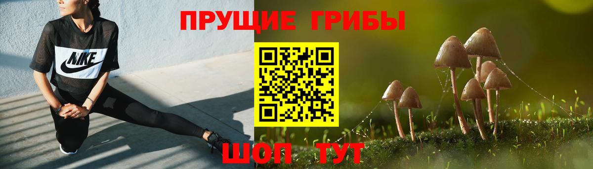 Галлюциногенные грибы Cubensis  Галлюциногенные грибы GOLDEN TEACHER  Воркута  Вход с VPN 